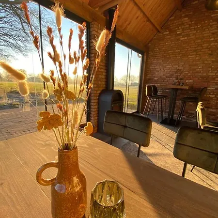 Domestico Lage Mierde