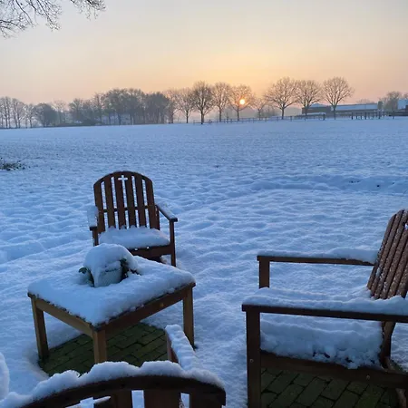 Domestico Nocleg ze śniadaniem