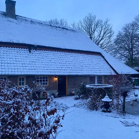 Domestico Lage Mierde