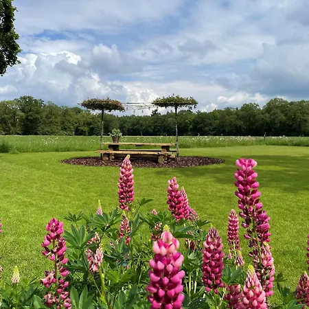 Domestico Nocleg ze śniadaniem