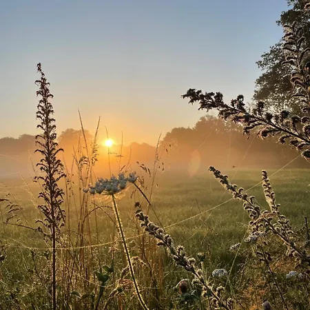 Domestico Alojamento de Acomodação e Pequeno-almoço 3*