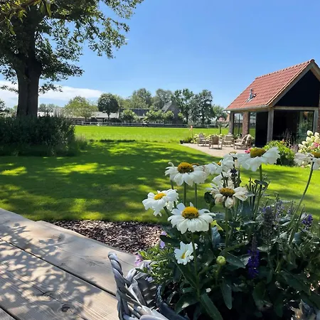 Alojamento de Acomodação e Pequeno-almoço Domestico Lage Mierde