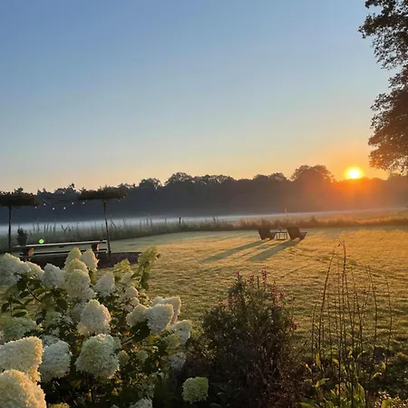 Domestico Alojamento de Acomodação e Pequeno-almoço 3*