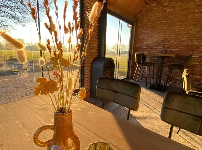 Domestico Lage Mierde