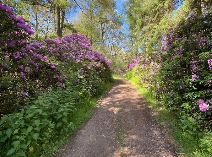 Panzió Domestico 3*