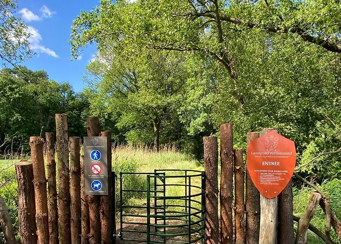 Domestico Lage Mierde