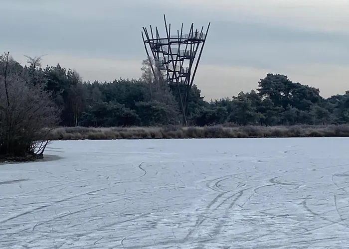 Panzió Domestico 3*