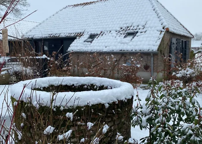 Panzió Domestico Lage Mierde