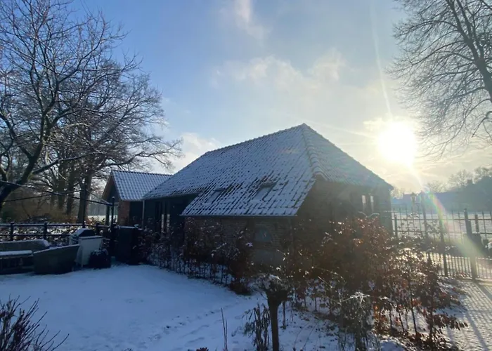 Domestico Panzió 3*