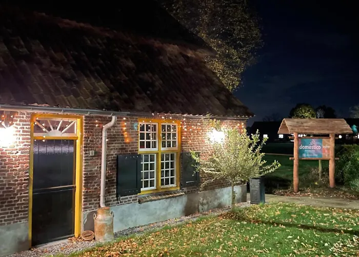 Domestico Lage Mierde