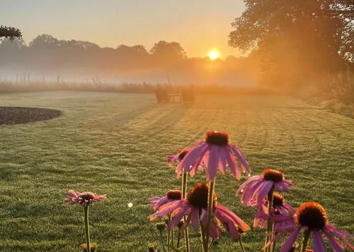 Domestico Panzió Lage Mierde