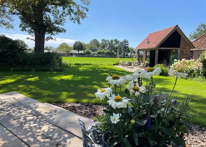 Panzió Domestico Lage Mierde