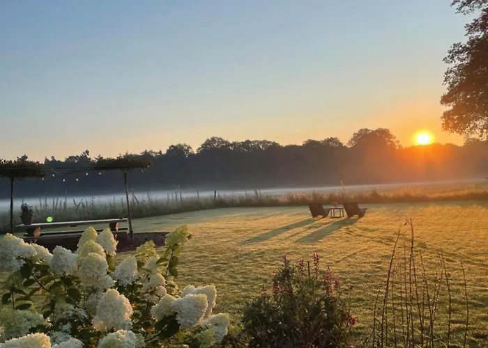 Domestico Panzió 3*