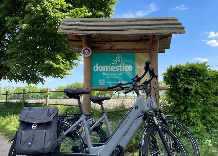 Domestico Panzió 3*