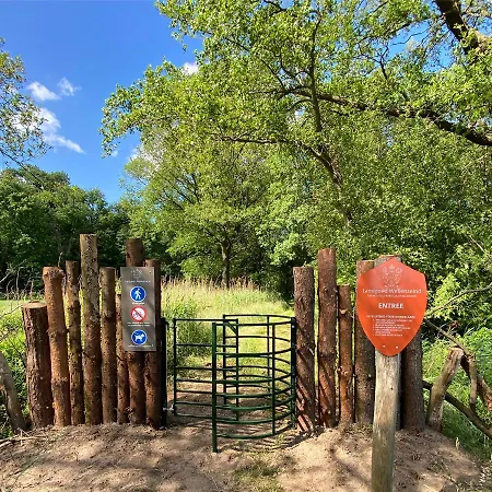 Domestico Lage Mierde