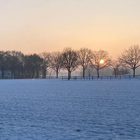 Bed & Breakfast Domestico Lage Mierde