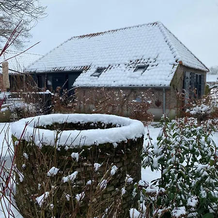 Bed & Breakfast Domestico Lage Mierde