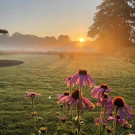 Domestico Bed & Breakfast Lage Mierde