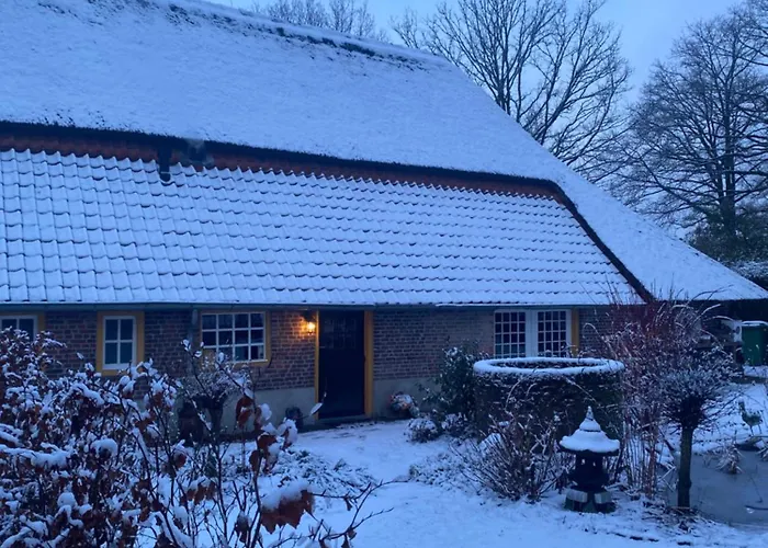 Domestico Lage Mierde